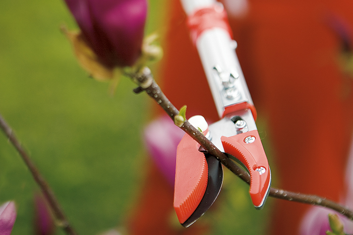 Dettaglio forbice ad asta lunga mentre taglia un rametto